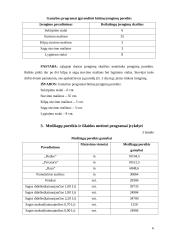 UAB „Verknė“ pelningumas 6 puslapis