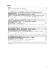 Įmonės veiklos ekonominių rodiklių skaičiavimo metodika 2 puslapis