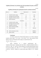 Įmonės veiklos ekonominių rodiklių skaičiavimo metodika 10 puslapis