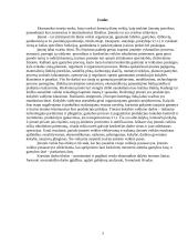 Verslo ekonomika: darbužių siuvimas UAB "Stilių žaismas" 3 puslapis