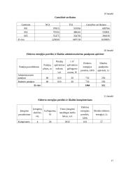 Verslo ekonomika: siuvykla "Vilnelė" 17 puslapis
