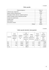 Verslo ekonomika: siuvykla "Vilnelė" 18 puslapis