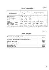 Verslo ekonomika: siuvykla "Vilnelė" 19 puslapis