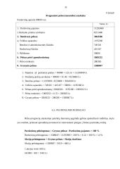 Verslo ekonomika: siuvimo įmonė UAB "Grakšti" 16 puslapis