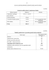 Verslo ekonomika: siuvimo įmonė UAB "Grakšti" 20 puslapis
