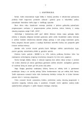 Verslo ekonomika: siuvimo įmonė UAB "Grakšti" 3 puslapis