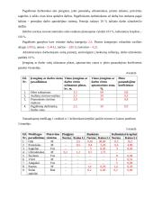 Verslo ekonomika: UAB "Odinukė" 3 puslapis