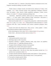 Verslo ekonomika: UAB "Odinukė" 4 puslapis