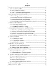 Verslo įmonių kūrimosi analizė 2 puslapis