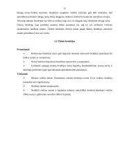 Verslo įmonių kūrimosi analizė 11 puslapis