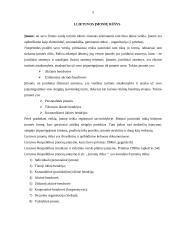 Verslo įmonių kūrimosi analizė 5 puslapis