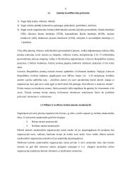Verslo įmonių kūrimosi analizė 6 puslapis