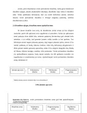 Verslo pertraukimo draudimas 11 puslapis