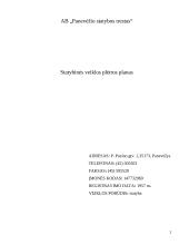 Verslo planas: AB "Panevėžio statybos trestas" 2 puslapis