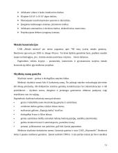 Verslo planas: AB "Panevėžio statybos trestas" 12 puslapis