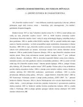 Verslo planas: AB "Panevėžio statybos trestas" 6 puslapis