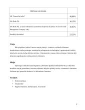 Verslo planas: AB "Panevėžio statybos trestas" 8 puslapis