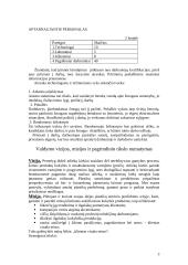 Verslo planas: atliekų perdirbimo IĮ "Pamex" 2 puslapis
