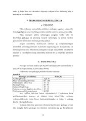 Verslo planas: automobilių plovykla 13 puslapis
