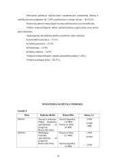 Verslo planas: automobilių plovykla 16 puslapis