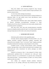 Verslo planas: automobilių plovykla 7 puslapis