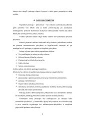 Verslo planas: automobilių plovykla 8 puslapis