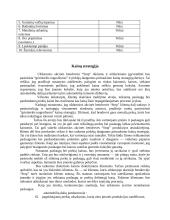 Verslo planas: automobilių remontas UAB "Stop" 12 puslapis
