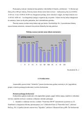 Verslo planas: automobilių sporto klubas "Akimirka" 11 puslapis