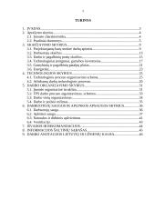 Verslo planas: automobilių techninio aptarnavimo įmonė 2 puslapis