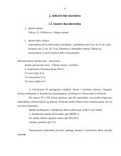 Verslo planas: automobilių techninio aptarnavimo įmonė 4 puslapis