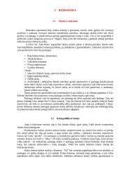Verslo planas: autoservisas 10 puslapis