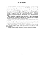 Verslo planas: autoservisas 2 puslapis