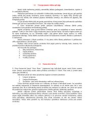 Verslo planas: autoservisas 4 puslapis