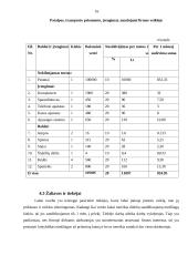 Verslo planas: baldų parduotuvė IĮ "Arginta" 16 puslapis