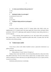 Verslo planas: baldų parduotuvė IĮ "Arginta" 9 puslapis