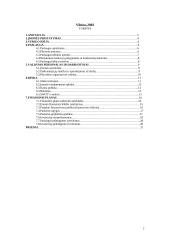 Verslo planas: europinio lygio automobilių plovykla "Autorojus" 2 puslapis