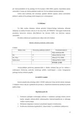 Verslo planas: europinio lygio automobilių plovykla "Autorojus" 13 puslapis