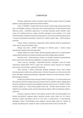 Verslo planas: europinio lygio automobilių plovykla "Autorojus" 3 puslapis