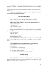 Verslo planas: europinio lygio automobilių plovykla "Autorojus" 4 puslapis