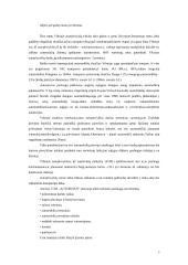 Verslo planas: europinio lygio automobilių plovykla "Autorojus" 5 puslapis