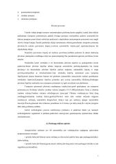 Verslo planas: europinio lygio automobilių plovykla "Autorojus" 7 puslapis
