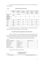 Verslo planas: europinio lygio automobilių plovykla "Autorojus" 8 puslapis