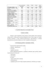 Verslo planas: europinio lygio automobilių plovykla "Autorojus" 9 puslapis