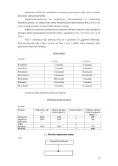 Verslo planas: europinio lygio automobilių plovykla "Autorojus" 10 puslapis