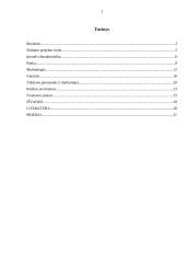 Verslo planas: gėlių parduotuvė IĮ "Gėlių simfonija" 2 puslapis