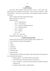 Verslo planas: gėlių parduotuvė IĮ "Gėlių simfonija" 18 puslapis