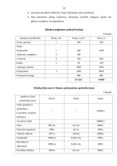 Verslo planas: gėlių parduotuvė IĮ "Gėlių simfonija" 19 puslapis