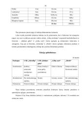 Verslo planas: gėlių parduotuvė IĮ "Gėlių simfonija" 20 puslapis