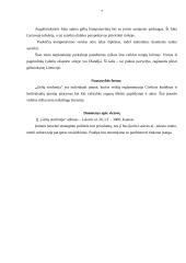 Verslo planas: gėlių parduotuvė IĮ "Gėlių simfonija" 7 puslapis