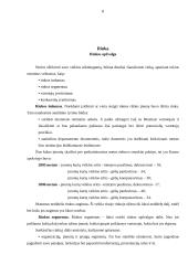 Verslo planas: gėlių parduotuvė IĮ "Gėlių simfonija" 8 puslapis